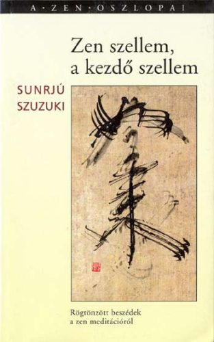 Zen szellem, a kezdő szellem